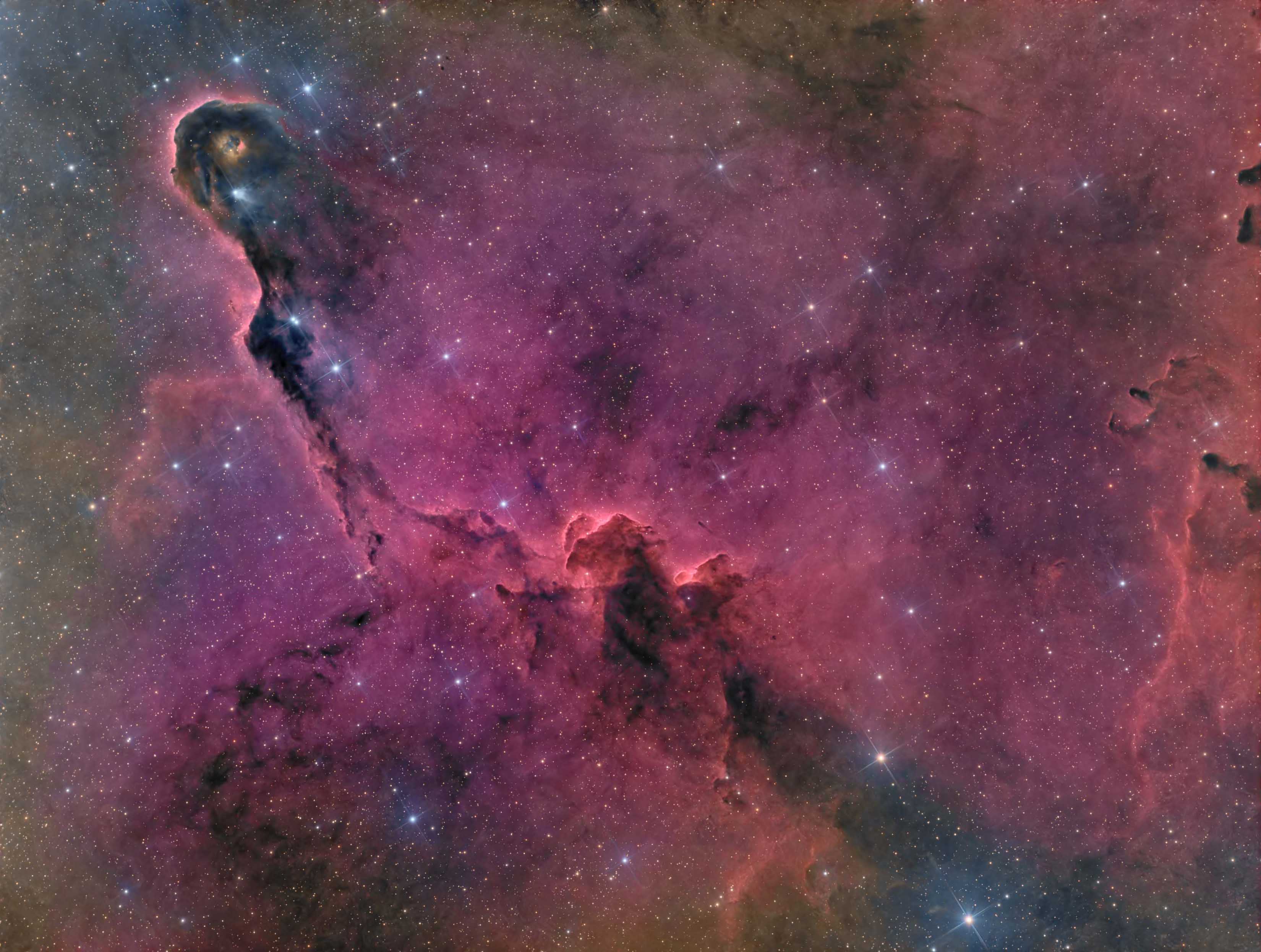 IC1396_FINAL